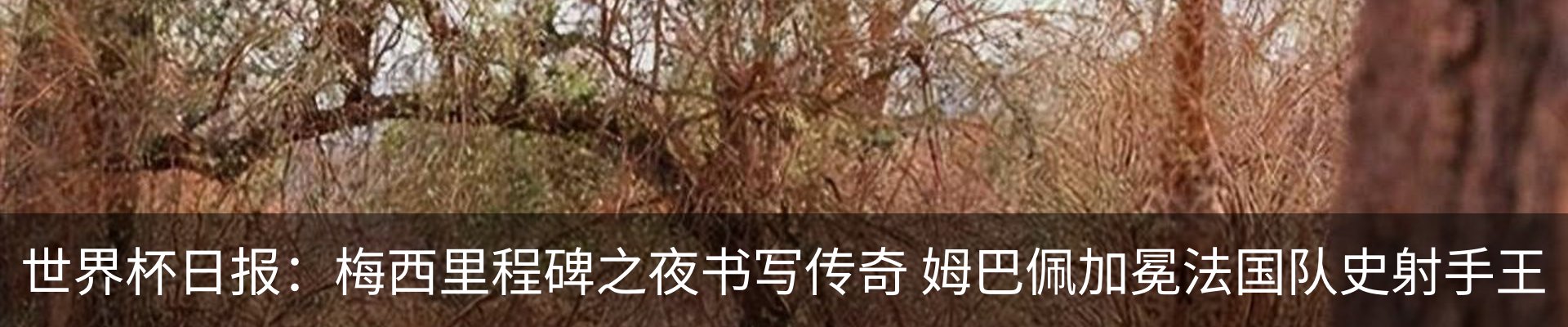最新动态